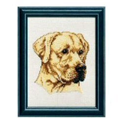 Pako Golden Labrador Cross Stitch Kit