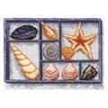 Image of Pako Shells on Display Cross Stitch Kit