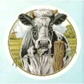 Image of Pako Black and White Cow Cross Stitch Kit