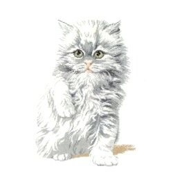 Image 1 of Pako White Kitten Cross Stitch