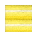 Anchor Multicolour Stranded Cotton 1217 Colour