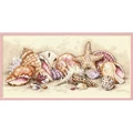 Image of Dimensions Seashell Treasures Cross Stitch Kit