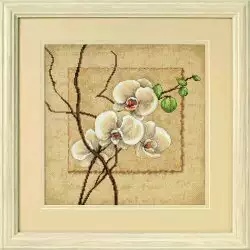 Image 1 of Dimensions Oriental Orchids Cross Stitch Kit