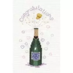 Derwentwater Designs Champagne Wedding Sampler Cross Stitch Kit