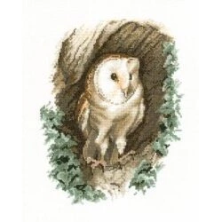 Heritage Barn Owl - Aida Cross Stitch Kit