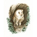Image of Heritage Barn Owl - Aida Cross Stitch Kit