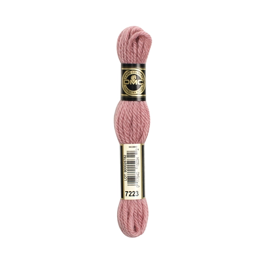 DMC Tapestry Wool 7223 Colour
