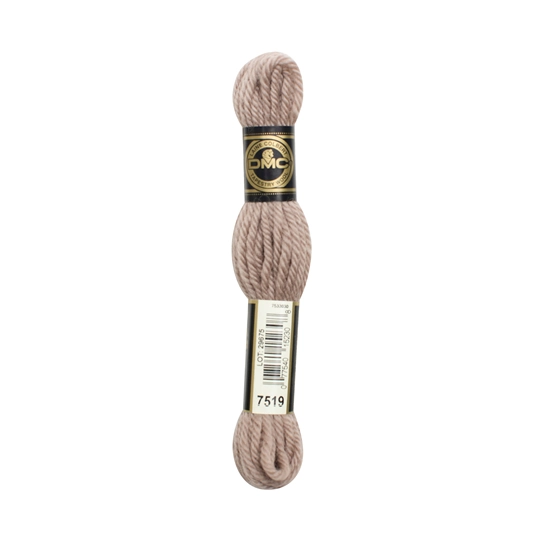 DMC Tapestry Wool 7519 Colour