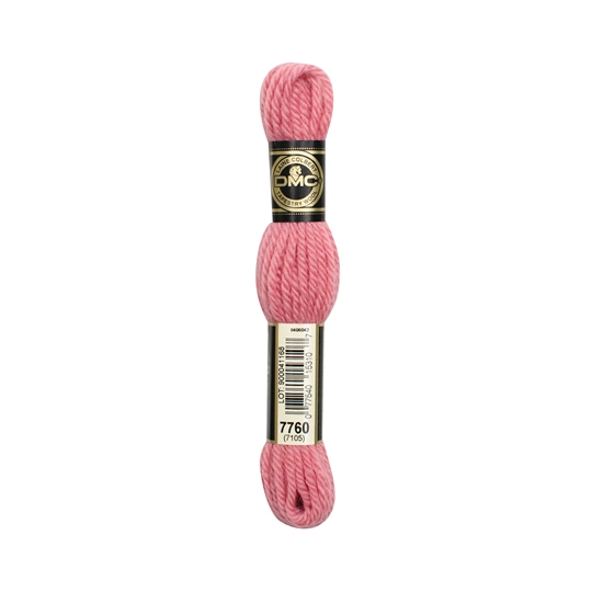 DMC Tapestry Wool 7760 Colour