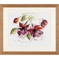 Image of Lanarte Fuchsia in Watercolour Cross Stitch Kit