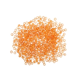Mill Hill Seed Beads 62044 Autumn