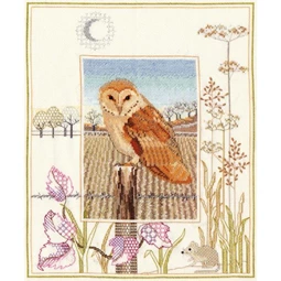 Derwentwater Designs Barn Owl Cross Stitch Kit