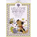 Image of Janlynn Welcome Baby Boy Birth Sampler Cross Stitch Kit