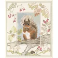 Image of Derwentwater Designs Red Squirrel Cross Stitch Kit
