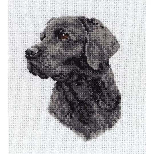 Image 1 of Anchor Border Collie Cross Stitch Kit