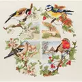 Image of Anchor Birds and Seasons Cross Stitch Kit