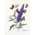 Image of Eva Rosenstand Buddleia and Butterflies Cross Stitch Kit