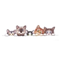 Image of Design Works Crafts Curious Kittens Cross Stitch