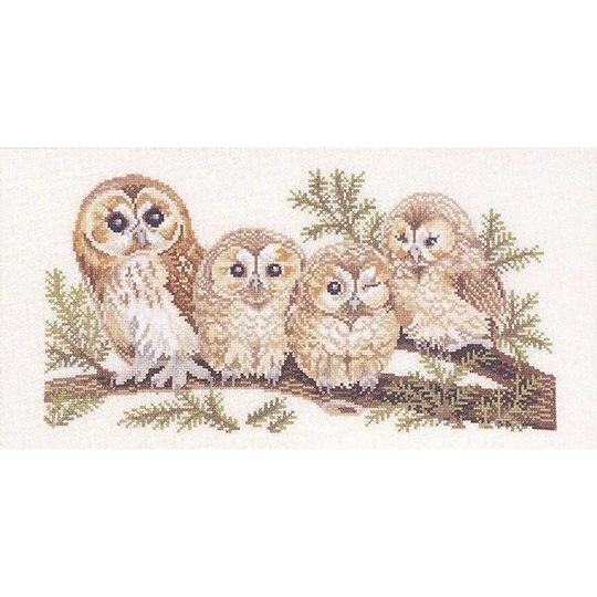 Image 1 of Eva Rosenstand Barn Owl Family - Aida Cross Stitch Kit
