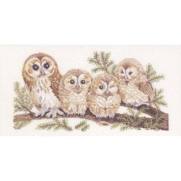 Eva Rosenstand Barn Owl Family - Aida Cross Stitch Kit
