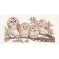 Image of Eva Rosenstand Barn Owl Family - Aida Cross Stitch Kit