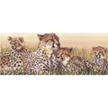 Image of Royal Paris Cheetahs Cross Stitch Kit