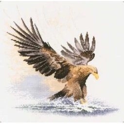 Image 1 of Heritage Eagle in Flight - Aida Cross Stitch Kit