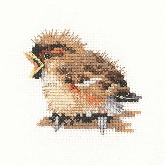 Image 1 of Heritage Sparrow - Aida Cross Stitch Kit