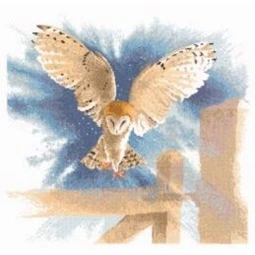 Heritage Owl in Flight - Aida Cross Stitch Kit
