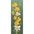 Image of Heritage Daffodil Panel - Aida Cross Stitch Kit