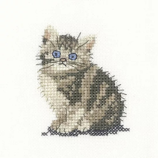 Image 1 of Heritage Tabby Kitten - Aida Cross Stitch