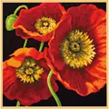 Image of Dimensions Red Poppy Trio Tapestry Kit
