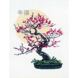 Bonsai Wish of Well Being