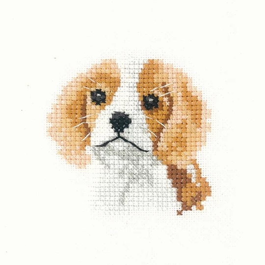 Image 1 of Heritage Spaniel Puppy - Aida Cross Stitch Kit