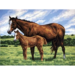 DMC Horse and Foal Tapestry Canvas