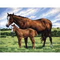 Image of DMC Horse and Foal Tapestry Canvas