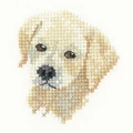 Image of Heritage Golden Labrador - Aida Cross Stitch Kit