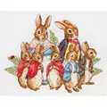 Image of Anchor Peter Rabbit Family Cross Stitch Kit