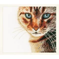 Image of Lanarte Tabby Cat - Evenweave Cross Stitch Kit