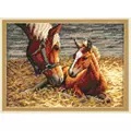 Image of Dimensions Good Morning Cross Stitch Kit