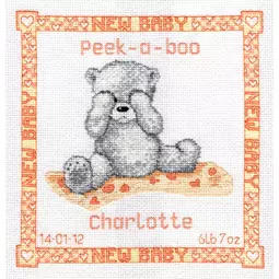 Little Star Stitches Peek-a-Boo Birth Sampler Birth Sampler Cross Stitch Kit