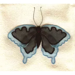 Stitch by Stitch Exotic Blue Butterfly Embroidery Kit