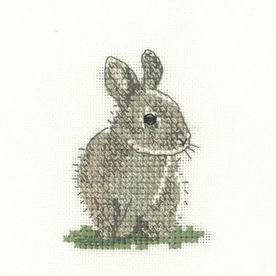 Image 1 of Heritage Baby Rabbit -Aida Cross Stitch Kit