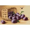 Image of Luca-S Basket of Plums Cross Stitch Kit