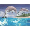 Image of Heritage Dolphins - Evenweave Cross Stitch Kit