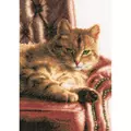 Image of Lanarte Cat on Sofa - Aida Cross Stitch Kit