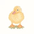 Image of Heritage Duckling - Aida Cross Stitch Kit