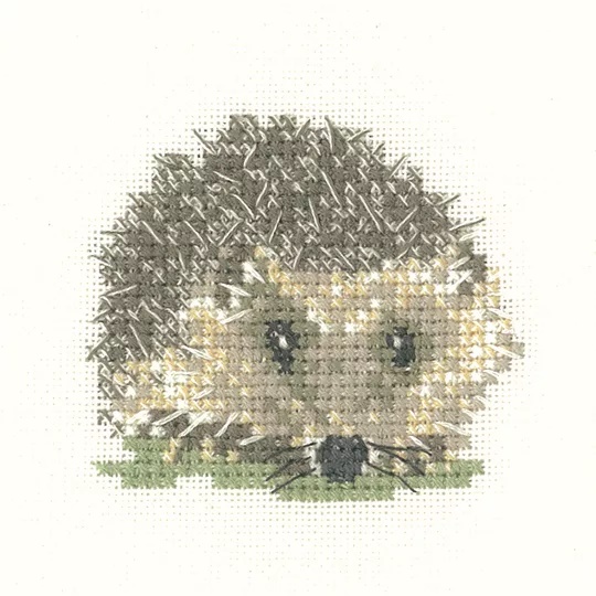 Image 1 of Heritage Hedgehog - Aida Cross Stitch Kit