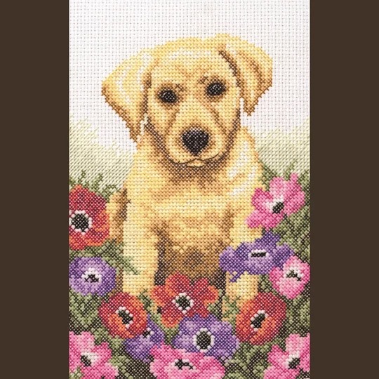 Image 1 of Anchor Puppy Cross Stitch Kit