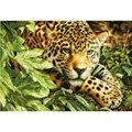Image of Dimensions Leopard in Repose Cross Stitch Kit